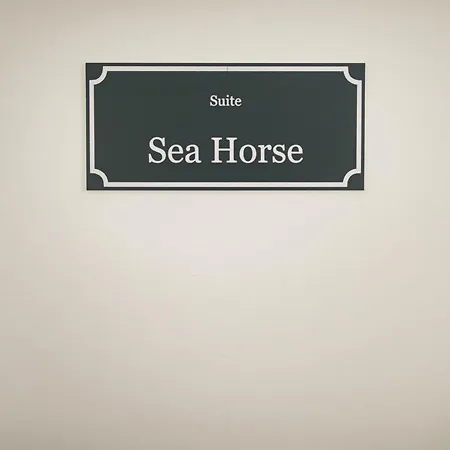 Sea Horse Zingst