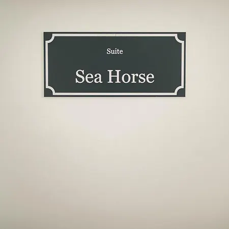 Sea Horse Apartman Zingst