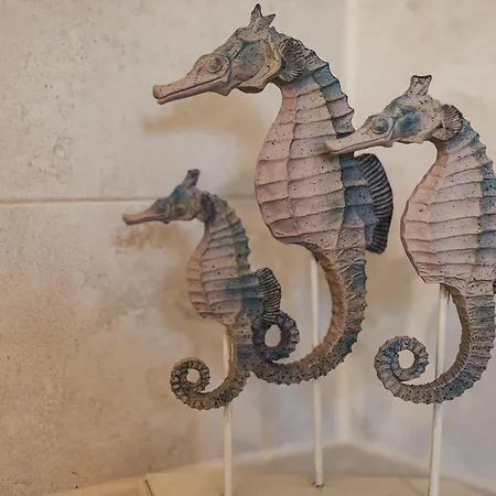 Sea Horse Apartman *