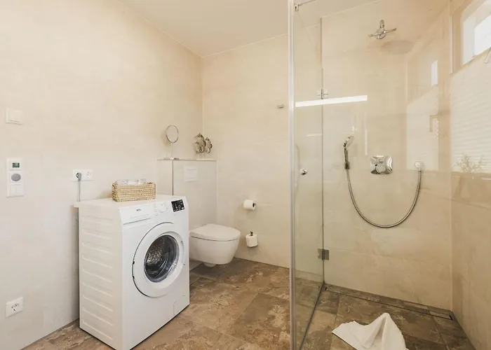 Sea Horse ツィングシュト